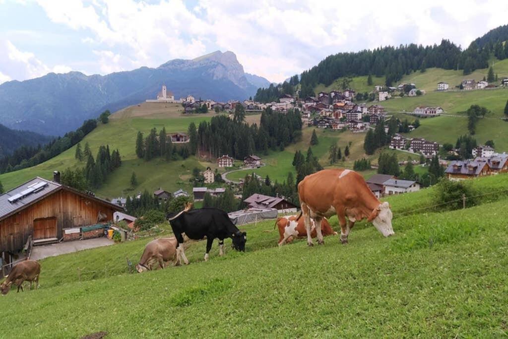 App Col di Lana - Agriturismo La Majon da Col Colle Santa Lucia Esterno foto